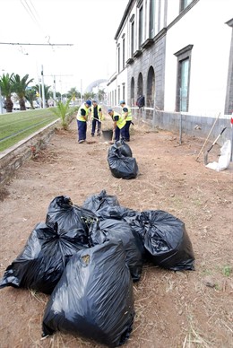 Recogida de basura