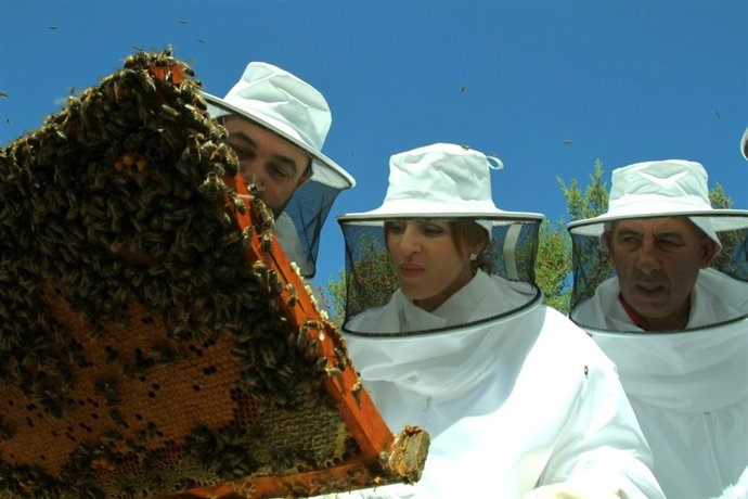 Clemente en una colmena