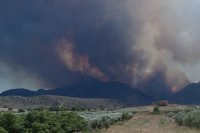El Gobierno aprobará "las medidas urgentes necesarias" tras estudiar los daños