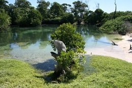 Goa Island en Mozambique