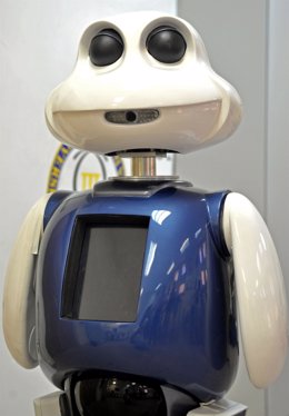 Robot Maggie