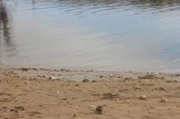 Los diez embalses de la provincia de Toledo pierden 10 hectómetros y almacenan 239 hectómetros