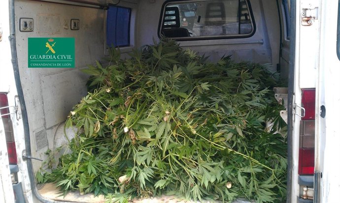 El material intervenido por la Guardia Civil de Sahagún