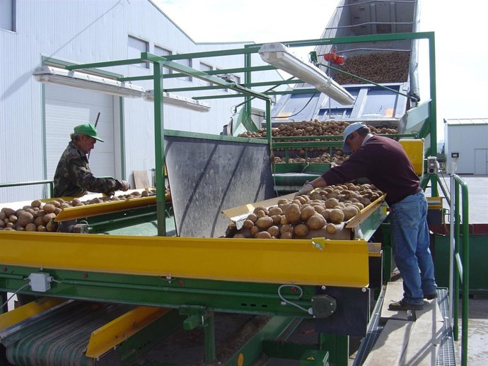 Cargamento de patatas