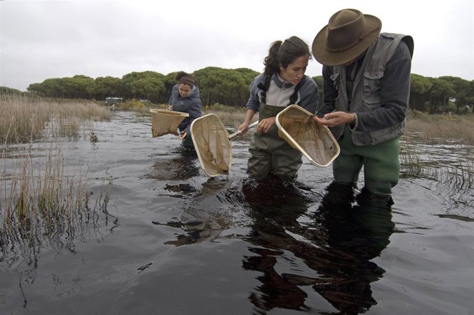 Labores de investigación en Doñana desarrollada por la Fundación