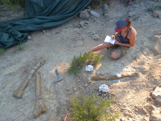 Hallan un nuevo yacimiento de dinosaurios en Isona i Conca Dellà