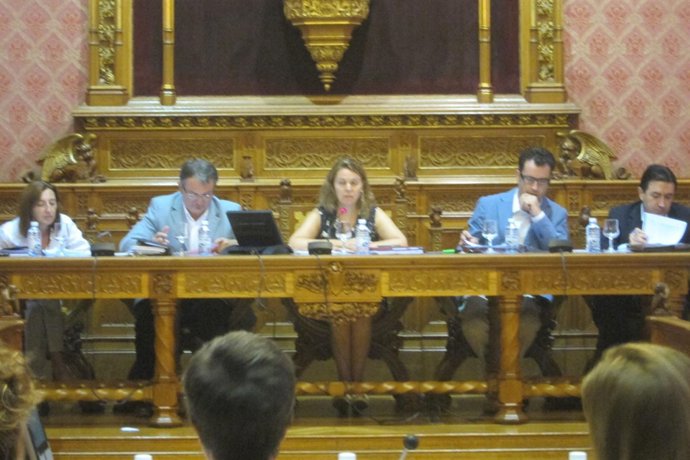 Pleno Del Consell De Mallorca