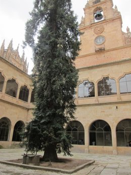 Claustro De Las Escuelas Mayores De La USAL