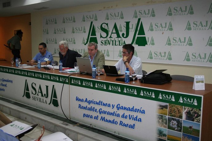 Ricardo Serra anunciando que se presenta a la reelección