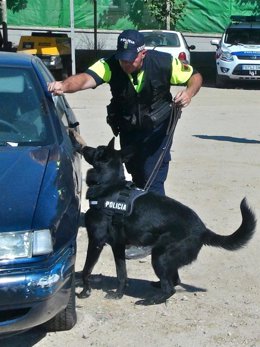 Perros detectores de droga