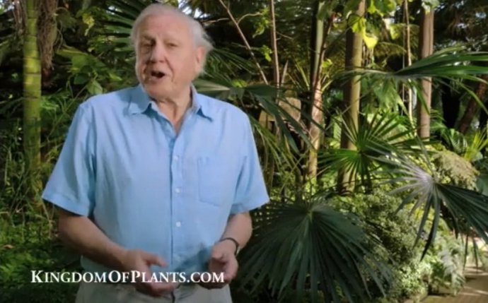 David Attenborough