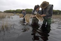 Ecologistas ven "positiva" la ampliación de Reserva de la Biosfera de Doñana, "un acicate" para una mejor conservación