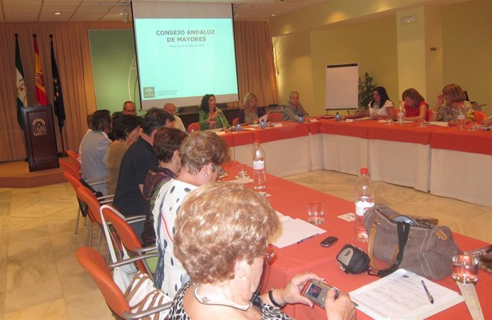 Reunión del Consejo Andaluz de Mayores