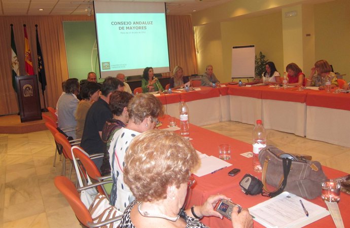 Reunión del Consejo Andaluz de Mayores