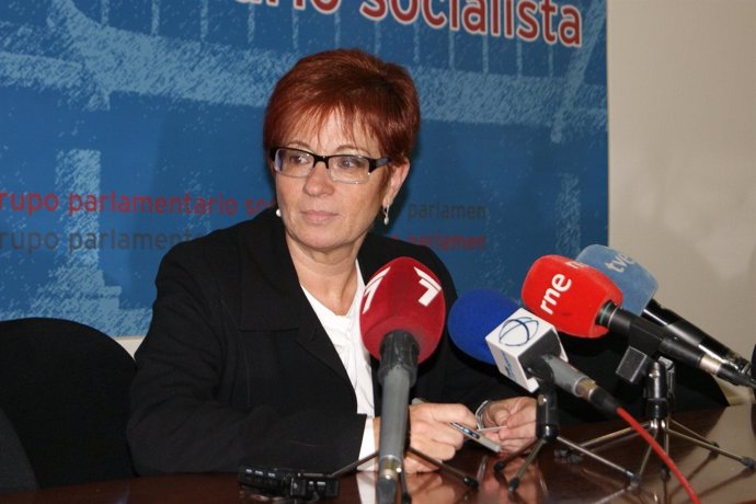 La Portavoz Del Grupo Parlamentario Socialista, Begoña García Retegui
