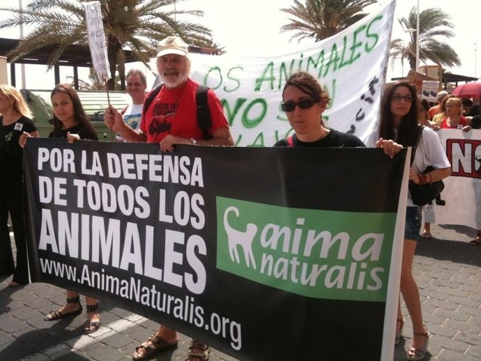 Asistentes A La Manifestación En Gandia