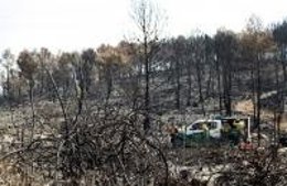 Una Brigada De Imelsa Trabaja En El Término Municipal De Macastre