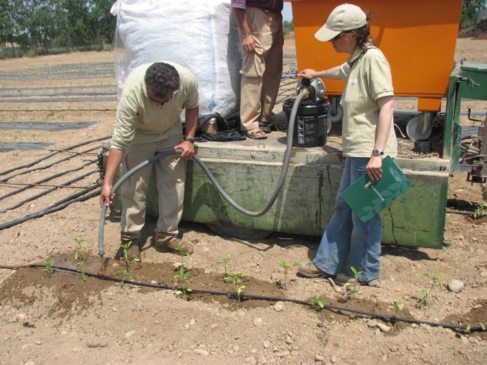 Aplicación 'hidromulching'.