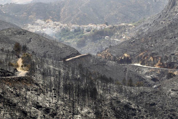 Imagen de los incendios de Valencia 