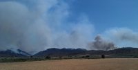 Incendios.- PP propondrá en las Cortes nacionales iniciativas de repoblación y compensación a los afectados de Hellín