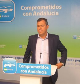 El Secretario General Del PP-A, José Luis Sanz, En Rueda De Prensa