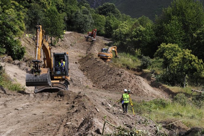 Cerdedelo (Laza; Ourense).- Souto de castaños en el inicio de obras para pistas 