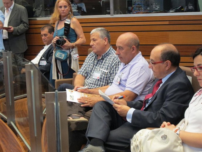 Representantes de las opa en las Cortes