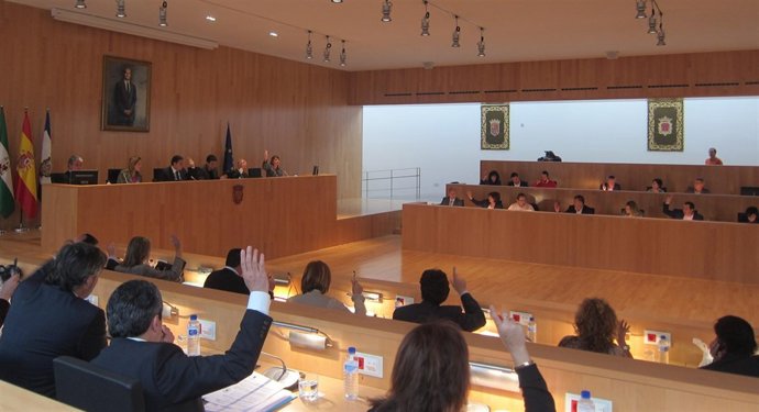 Pleno Ordinario De La Diputación De Marzo