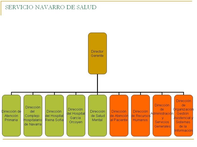 Nuevo organigrama del Servicio Navarro de Salud.