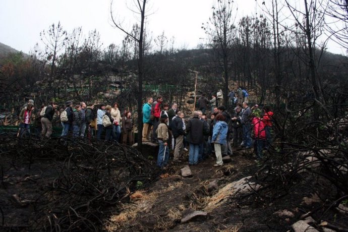 Investigación de la US en relación a incendios forestales