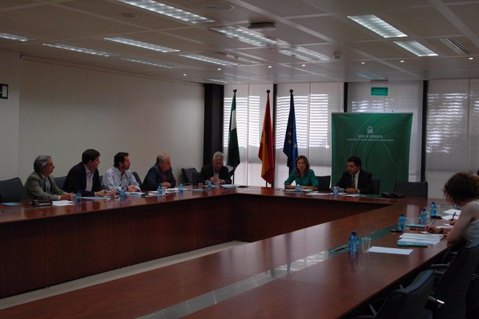 Comisión De Seguimiento Del Tercer Pacto Andaluz Por La Economía Social.