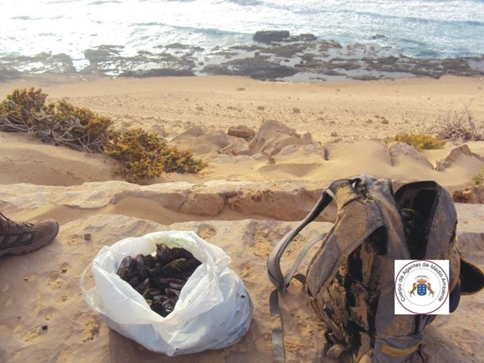 Pesca ilegal en Fuerteventura