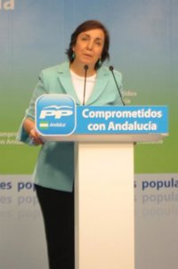 PP-A pide "responsabilidad" a los manifestantes y recuerda que IULV-CA acepta "ajustes mucho más duros" que los de Rajoy