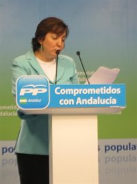 PP-A pide que la Junta rebaje "al menos a la mitad" los fondos para cooperación internacional en vez de recortar sueldos