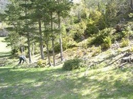 Trabajos de prevención de incendios en el Parque Natural del Cadí-Moixeró