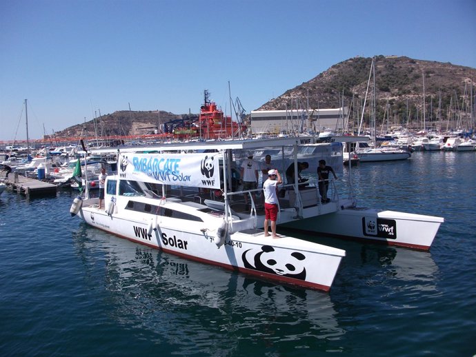 La campaña 'Descubre tus paraísos marinos' de WWF arranca en Cartagena