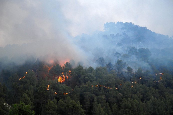 Una de las imágenes del incendio 