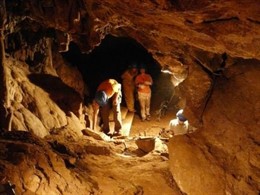 Visita campo de trabajo