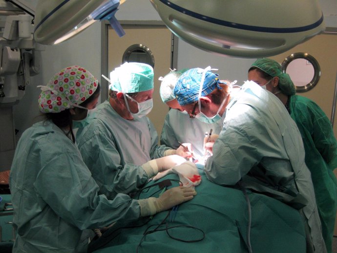 Cirujanos en plena intervención quirúrgica