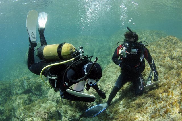 Submarinistas