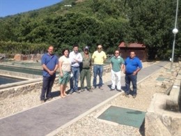 Ampliación cerezo y castaño Jerte