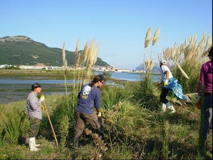 Programa voluntariado