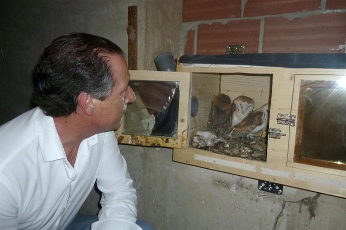 Miguel Zaragoza presenta el plan para la recuperación de la lechuza