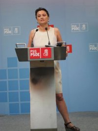 El PSdeG está abierto a debatir sobre la reducción de diputados, pero advierte que ahí no está el gran problema del país