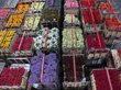 Subasta de flores en Alsmeer