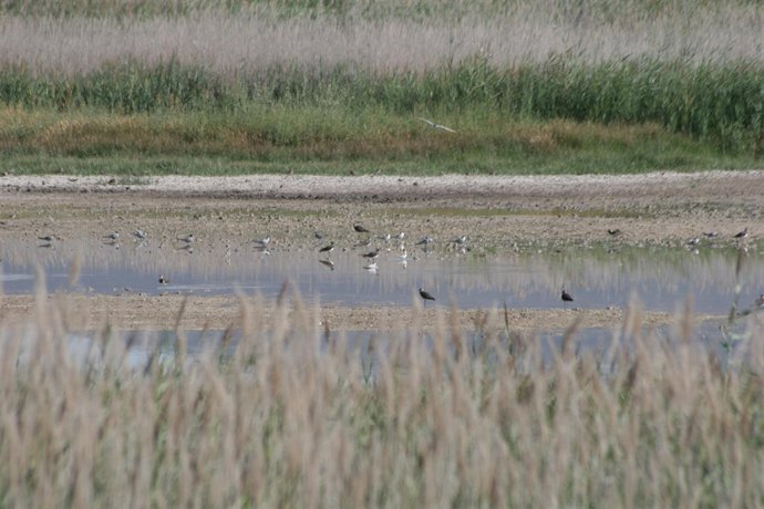 Parque Nacional de Las Tablas de Daimiel