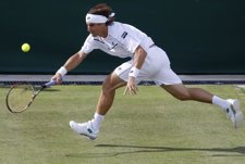 David Ferrer En El Torneo De 'S-Hertogenbosch