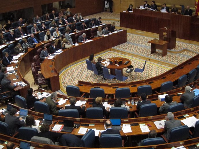 Pleno De La Asamblea De Madrid Del 10/11/11