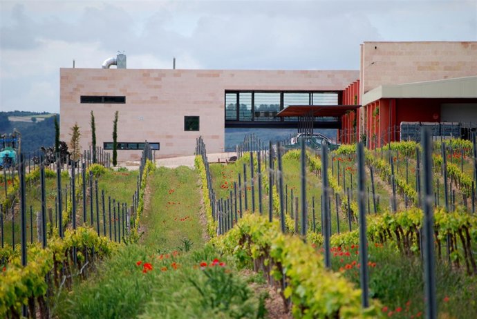 Comenge Bodegas Y Viñedos En Curiel De Duero (Valladolid). 
