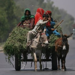Desplazados en Pakistán